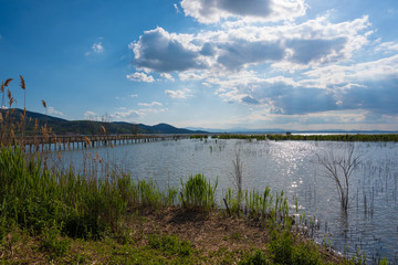 Obraz premium Lake Trasimeno (Umbria) - A day of spring in the natural oasis with pier on the largest lake in central Italy