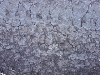 Cracked cement texture