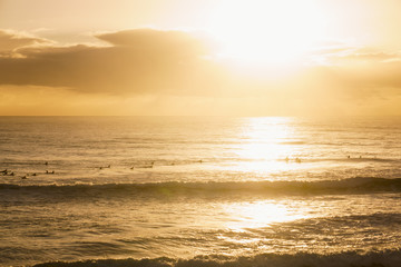 Surfers Paddle Out at Sunrise