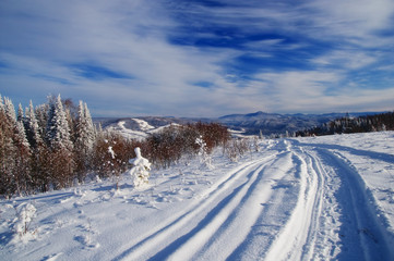 Winter snow mountain forest hills and the track path of the snowmobile in the foreground under blue sky. Altai Mountains, Siberia, Russia