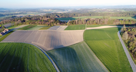 Landwirtschaft im Berner Seeland