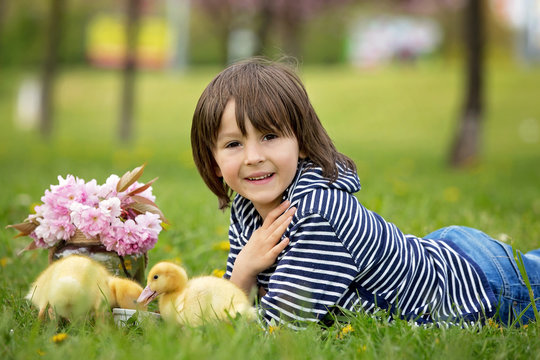 Cute sweet child, boy, playing in the park with ducklings