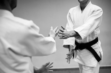 Fight between two aikido fighters