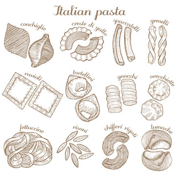 vector set of  different pasta shapes