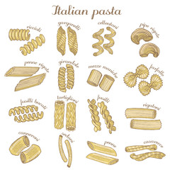 vector set of colored different pasta shapes