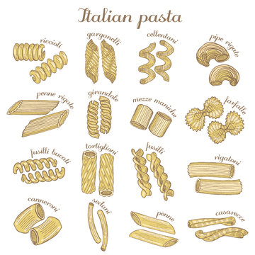 vector set of colored different pasta shapes