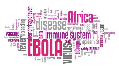 Obraz premium Ebola virus