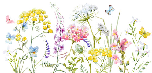 Panele Szklane Podświetlane  Akwarela dzikie kwiaty