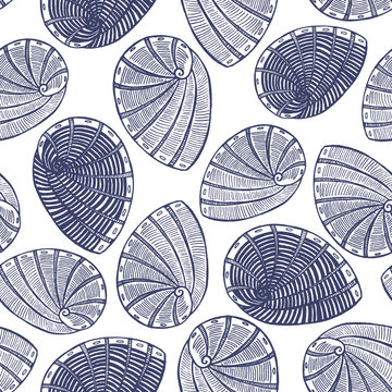 vector hand drawn shell background