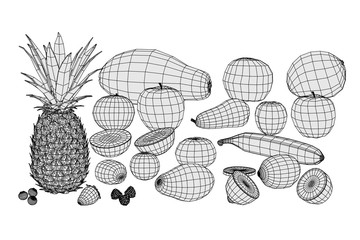 2d cartoon illustration of food collection