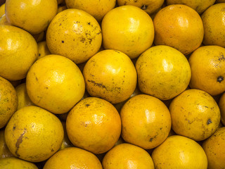 Organized sweet orange