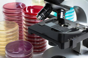 petri dishes samples for analysis in microscope in the laboratory / Petri plates and microscope in...