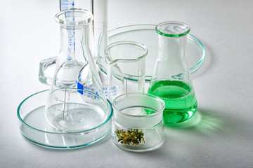 Laboratory Glassware with Marijuana Bud in Small Glass Container, Green Liquid in Erlenmeyer Flask
