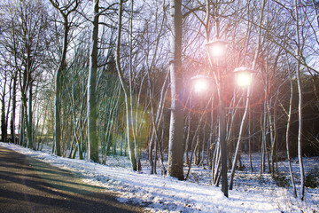 Winter Lamp Abstraction