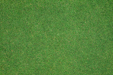 Putting Green in golf course - 149229095