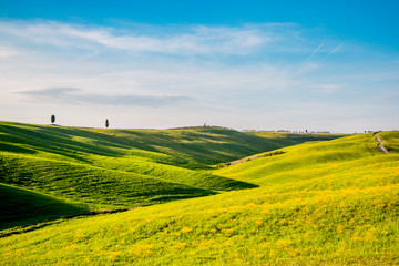 Fototapeta premium Paysage du Val d'Orcia en Toscane au soleil couchant