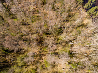 drone image. aerial view of rural area with fields and forests