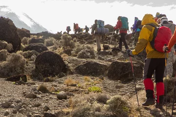 Papier Peint photo autocollant Kilimandjaro Piste sur le Kilimandjaro sur la Machame Route Whisky. 3 jours