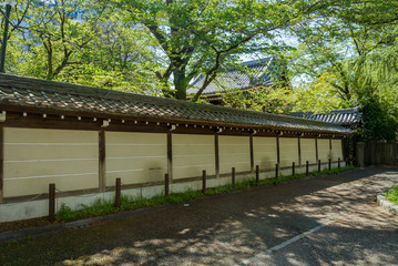 The outer wall of the temple - 寺院の外壁２