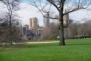 Manhattan skyline as seen from Central Park