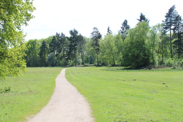 Fototapeta premium Fußweg im Park im Frühling