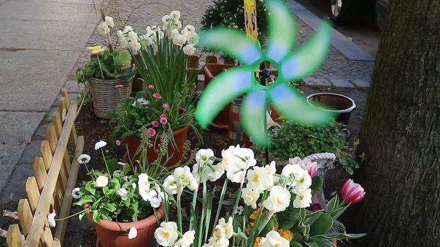 Blumenbeet an Baumscheibe mit drehender Windm&uuml;hle