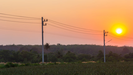 High voltage transmission cable on the post with sunset background