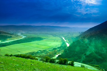 Fototapeta premium In the Forest