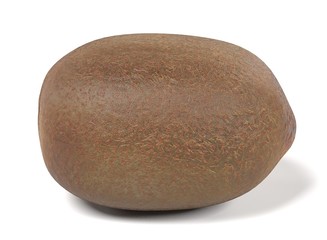 realistic 3d render of kiwi fruit