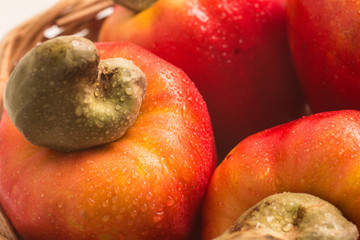 Cashews or Caju Fruit