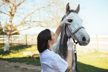 Veterinary horses on the farm conducting a review in one eye. 