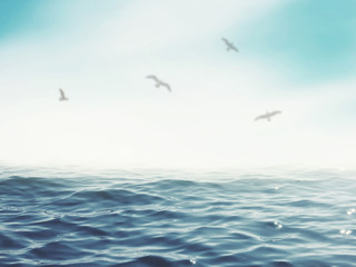Birds flying over blue sea