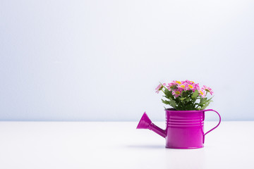 Isolated flower in a purple tin can