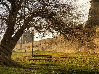 Lonely bench under the tree in a fortress