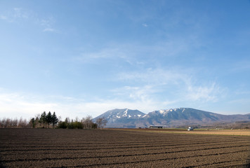 嬬恋村のキャベツ畑と浅間山