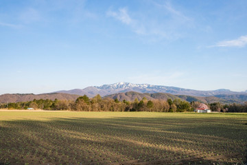 嬬恋キャベツ畑と白根山