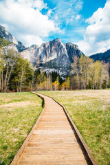 Naklejka premium Yosemite pathway