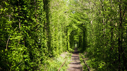 Beautiful railway among green trees. The tunnel of love