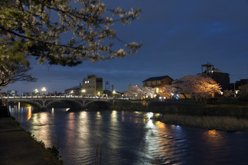 金沢の夜景　浅野川大橋と桜