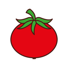 tomato fresh vegetable icon vector illustration design