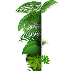 Fototapeta na wymiar Sign with text space of Tropical Leaves. Suitable for nature concept, vacation, and summer holiday. Vector Illustration