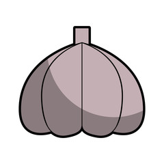 garlic fresh vegetable icon vector illustration design