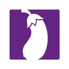 beet fresh vegetable icon vector illustration design