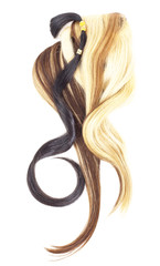 Human hair. Hair extension with real european woman hair.