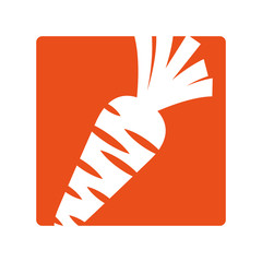 carrot fresh vegetable icon vector illustration design