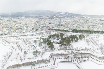 HOKKAIDO, JAPAN-JAN. 31, 2016: The view of star Castle in Hokkaido, Japan.