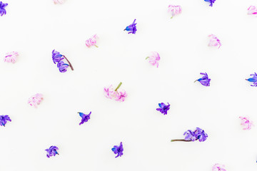 Floral pattern of blue and pink flowers, petals on white background. Flat lay, top view.