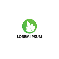 Fototapeta premium Business Leaf