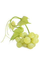 Green grapes with leaves