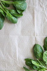 Background with spinach On kraft paper